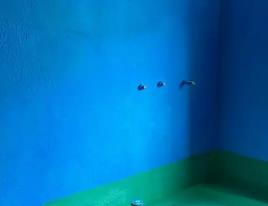 下城卫生间测漏水多少钱